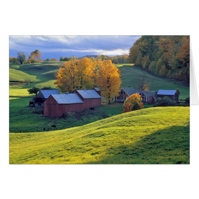 Les Etats-Unis, Vermont, ferme de Jenne. Collines (Devant horizontal)