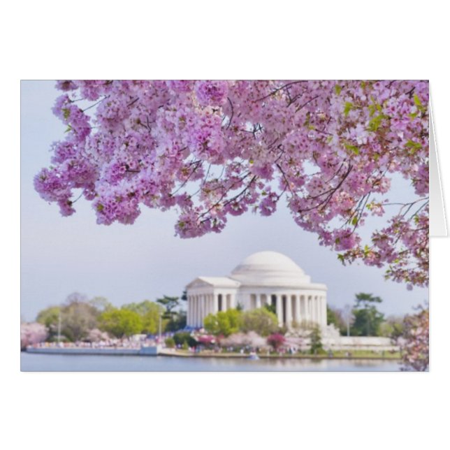 Les Etats-Unis, Washington DC, cerisier en fleur (Devant horizontal)