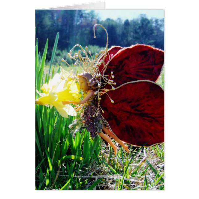 Les fées dans les jonquilles (Devant)