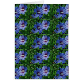 Les Fleurs de Blue Hibiscus