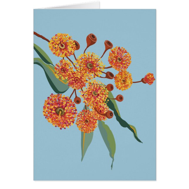 Les fleurs de gommiers australiens (Devant)