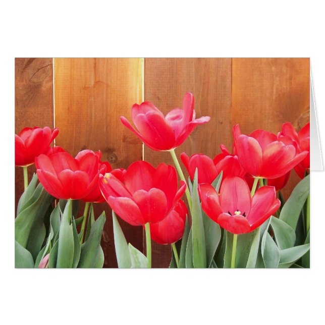 Les fleurs du printemps (Devant horizontal)