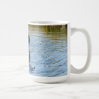 Les fonds lèvent la tasse