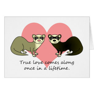 Les furets mignons rectifient l'amour