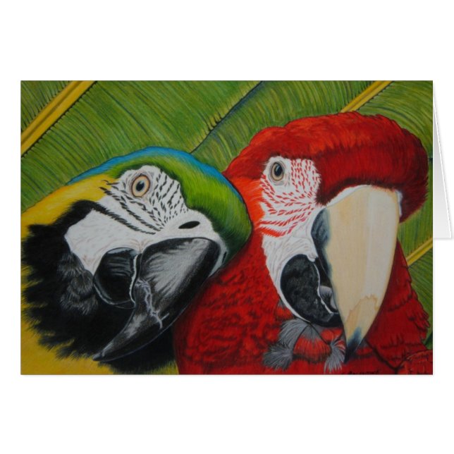 Les garçons (Devant horizontal)