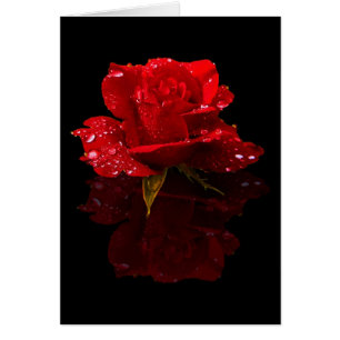 LES GOUTTES DE PLUIE SUR SE SONT LEVÉES