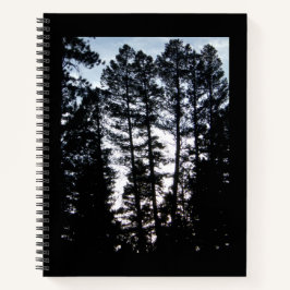 Les grands arbres dans les monts CO Carnet spiral
