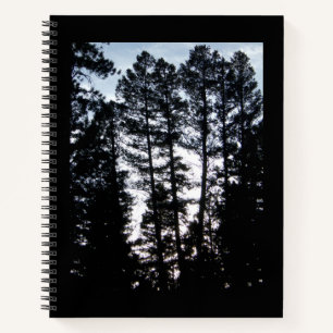 Les grands arbres dans les monts CO Carnet spiral