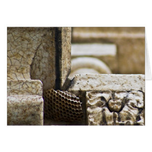 Les grands architectes