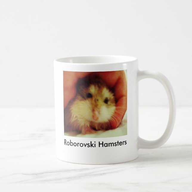Les hamsters de Roborovski autoguident la tasse (Droite)