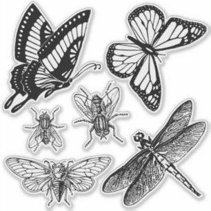 Les insectes volants autocollants transparents
