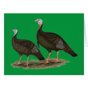 Les Jeunes Filles de Turkeys