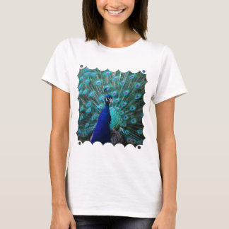 Les jolies dames de paon ont adapté le T-shirt
