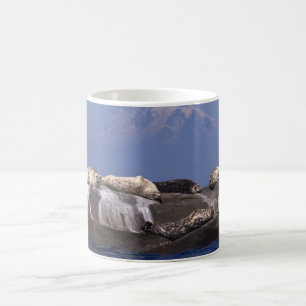 Les Jours Ensoleillés Sont De Nouveau Là - Mugs