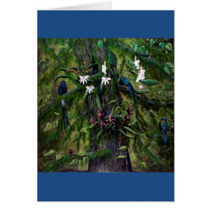 Les jungles de Tikal