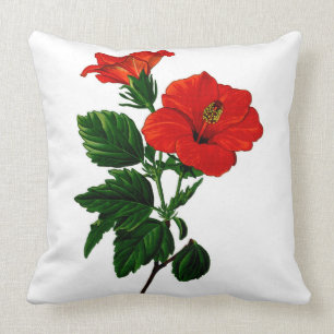 Les ketmies tropicales autoguident le coussin de