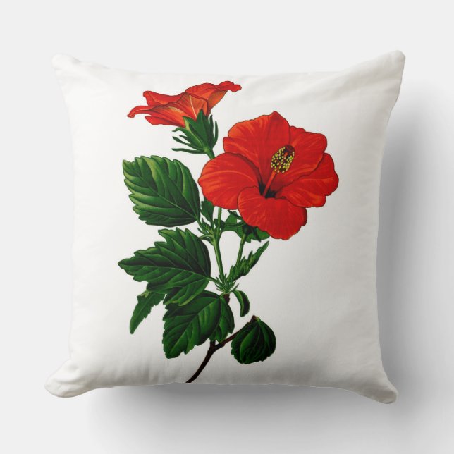 Les ketmies tropicales autoguident le coussin de (Recto)