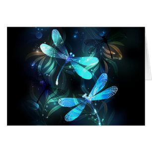 Les libellules du lac