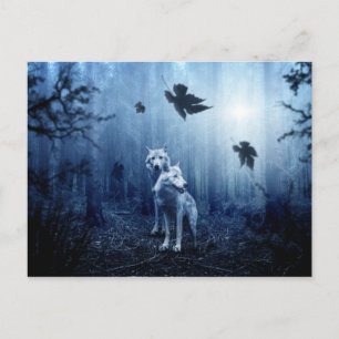 les loups dans les bois carte postale