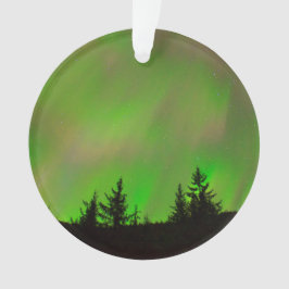 Les lumières du nord de Juneau