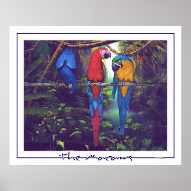 Les Macaws - Poster (Devant)