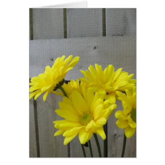 Les marguerites le long de la clôture