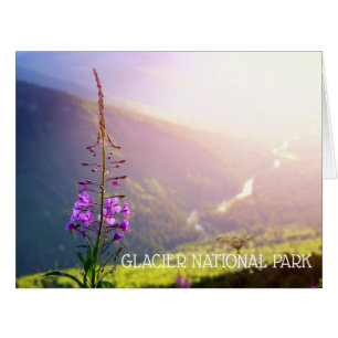 Les mauvaises herbes dans le parc national des Gla