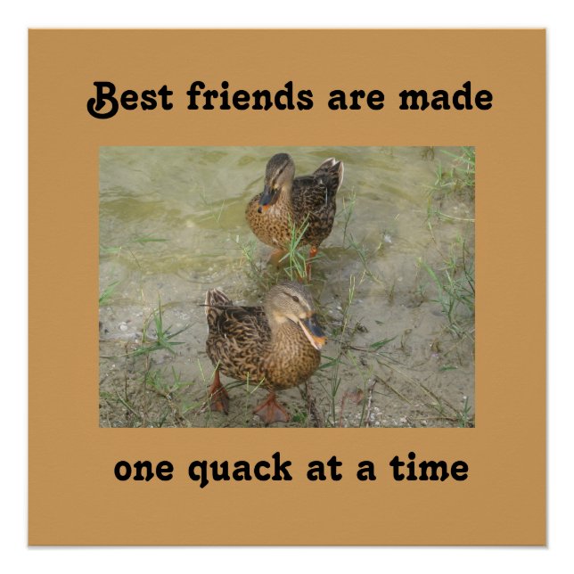 Les meilleurs amis sont faits - 20 x 20 Poster (Devant)