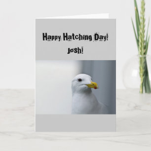 Les mouettes ont besoin d'amour trop carte d'anniv