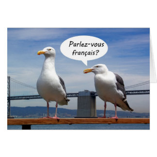Les mouettes parlent français
