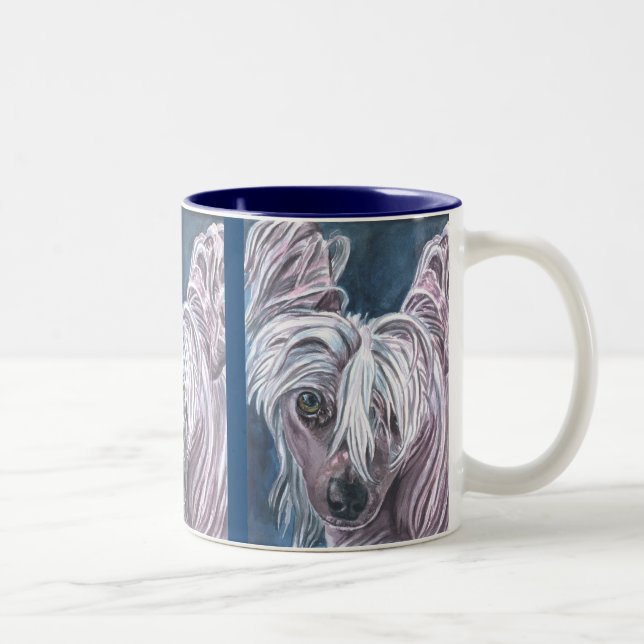 Les Mugs Chinois arrêtés (Droit)