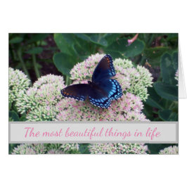 Les nouveaux endroits difficiles pour les papillon