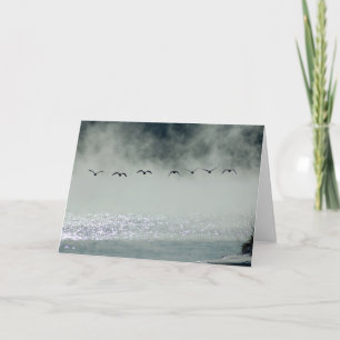 Les oies prennent la carte de vol