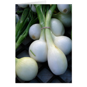 Les oignons au marché des fermiers