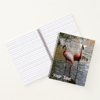 Les Oiseaux De Flamant rose Tropical Cust. Carnet 