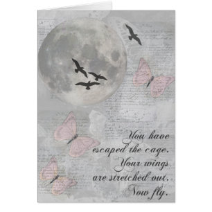 Les oiseaux de lune pilotent la carte de Rumi