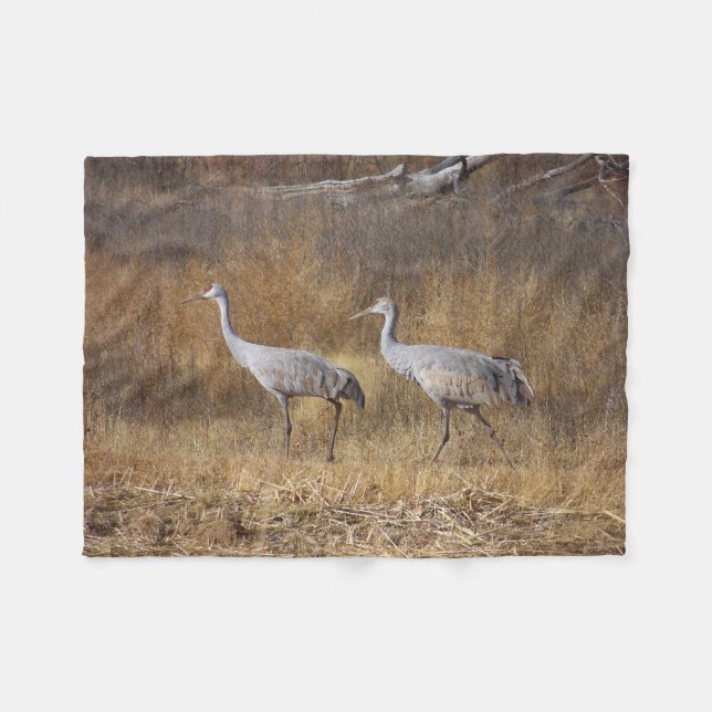 Les oiseaux Sandhill tend le cou la couverture (Devant (Horizontal))
