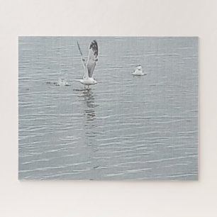 Les Oiseaux Sur Le Puzzle D'Eau