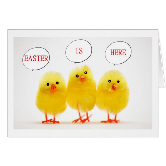 LES PEEPS DE PÂQUES ESPÉRANT ET ESPÉRANT LES SOUHA (Devant horizontal)