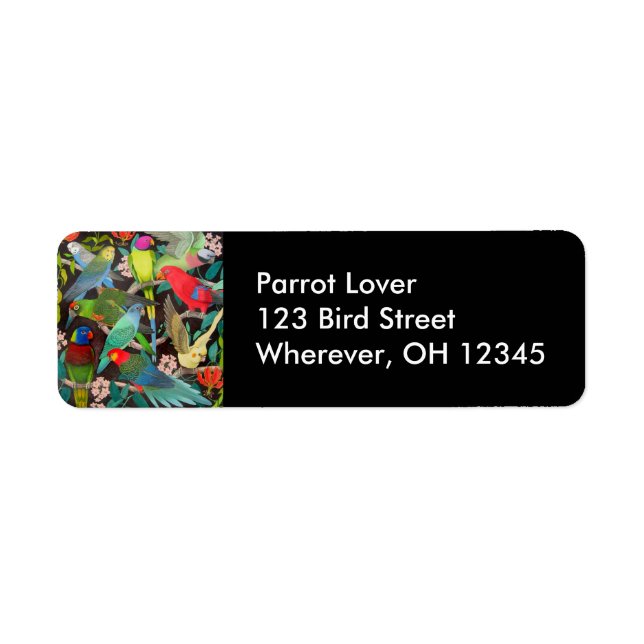 Les perroquets du Étiquette mondial II (Devant)