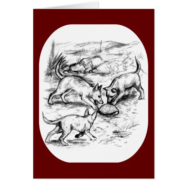 Les petits coyotes (Devant)