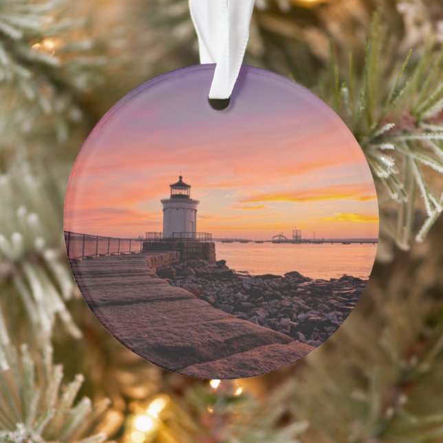 Les phares | South Portland, Maine (Arbre)