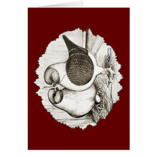 Les pigeons de Modène Gazzi