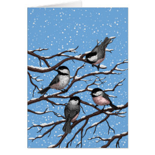 Les poulets en hiver