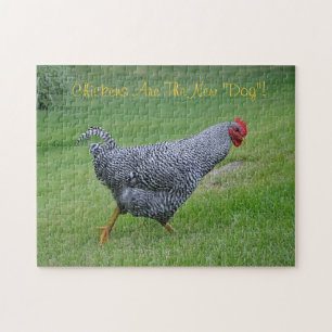 Les Poulets Sont Le Nouveau Puzzle De Chien