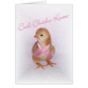 Les poussins frais savent