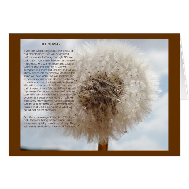 Les promesses (Devant horizontal)