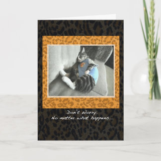 Les pyjamas du chat encouragent la carte