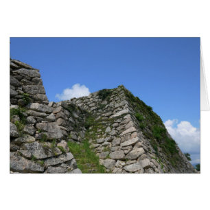 Les ruines du château japonais