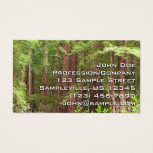 Les séquoias au monument national de Muir Woods